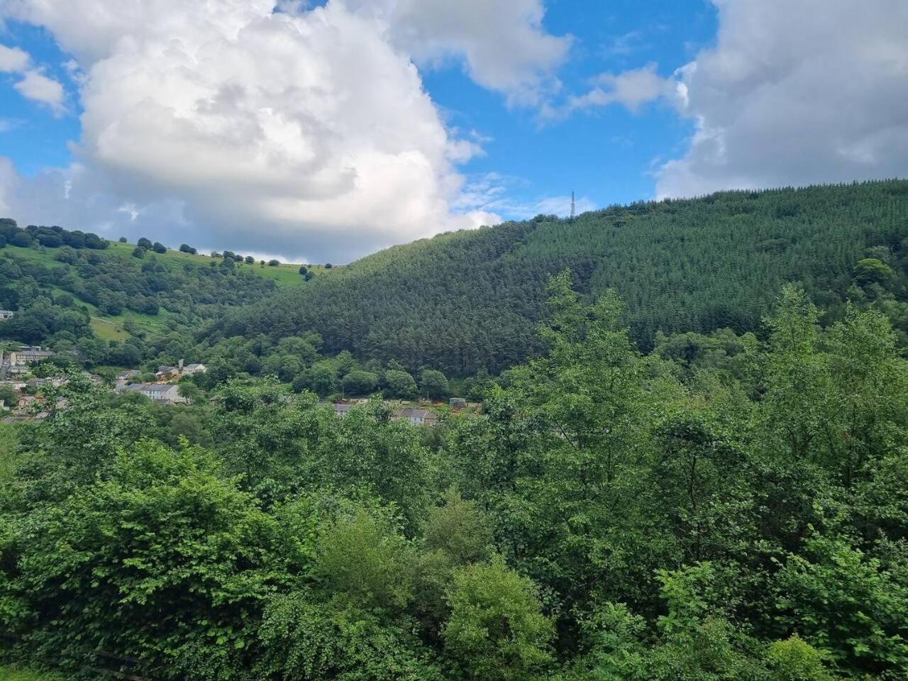 Modern 4-Bedroom Townhouse With Private Garden Abertillery エクステリア 写真